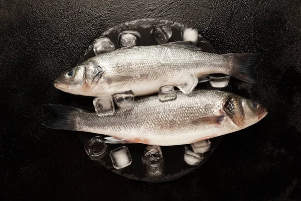 Färsk Labrax Havsfisk Protein Och Omega — Stockfoto