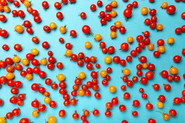 Mavi arka planda kırmızı ve sarı kiraz domatesleri. Taze, canlı organik sebzeler.