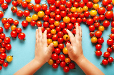 Kırmızı ve sarı kiraz domatesleri, taze organik sebzeler. Çocukların elleri vejetaryen yemeği yer..