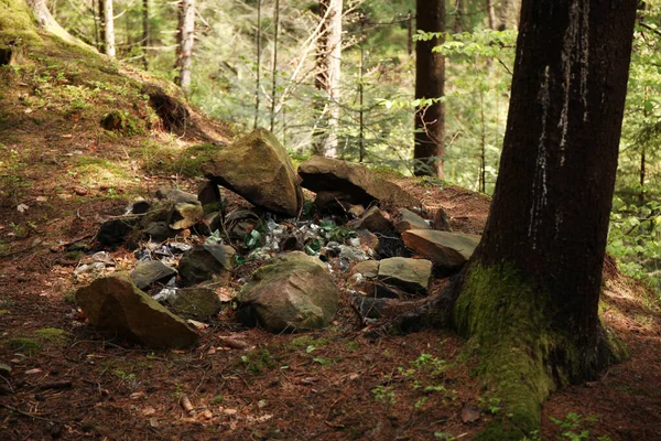 Volcado Basura Bosque Contaminación Ambiental Con Plástico Voluntariado Verde — Foto de Stock