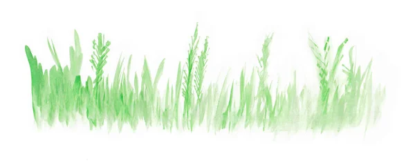 Herbe Prairie Verte Isolée Sur Fond Blanc Dessin Main Aquarelle — Photo