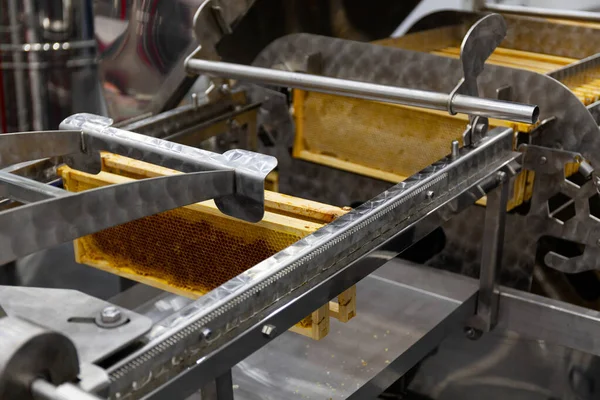 自動化工場でのハニーコムからの甘い蜂蜜の生産 クローズアップ — ストック写真