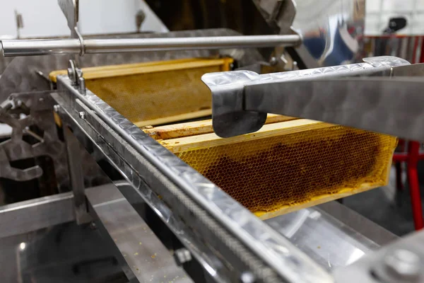 Production Miel Sucré Partir Nids Abeilles Dans Une Usine Automatisée — Photo