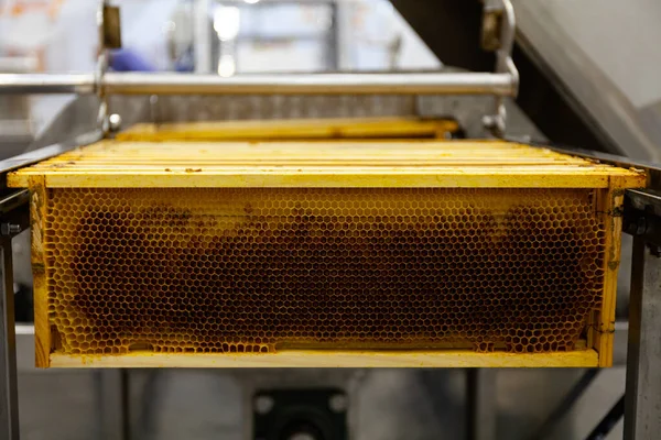 自動化工場でのハニーコムからの甘い蜂蜜の生産 クローズアップ — ストック写真