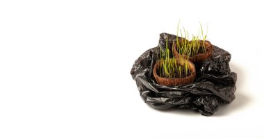 Doğayı plastik atıklardan ve çevresel kaygılardan korumak.