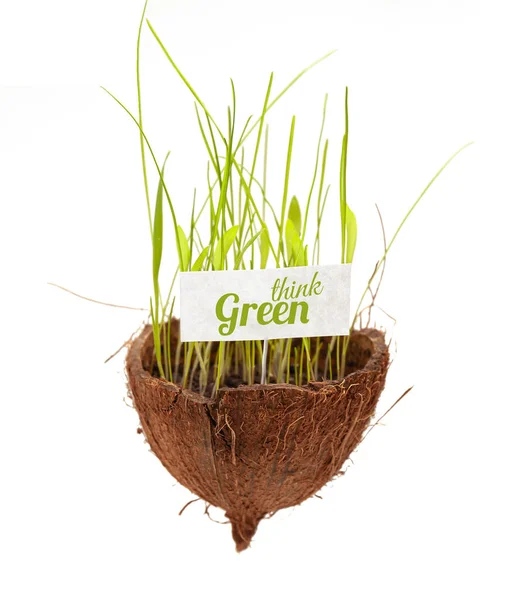 Piense Concepto Verde Tecnología Ambiental Amigable Protección Ambiental Conservación Del — Foto de Stock