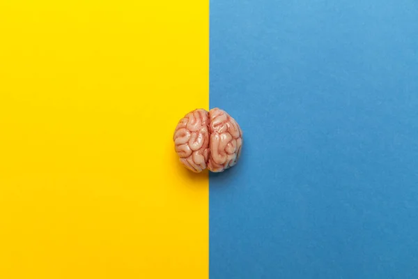Cérebro Humano Personalidade Dividida Duas Condições Psicológicas — Fotografia de Stock