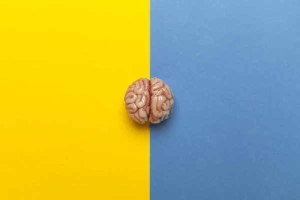 İnsan beyni ve bölünmüş kişilik. İki psikolojik durum.