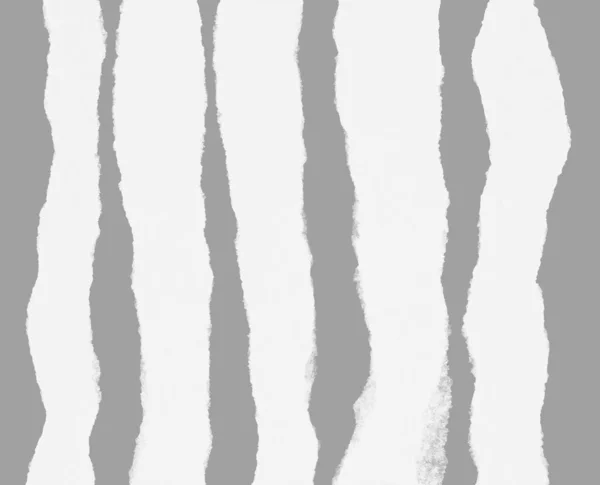 Weiße Zerrissene Papiersammlung Isoliert Auf Grauem Hintergrund Zerrissene Blanko Attrappe — Stockfoto