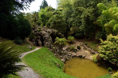 Bir parkın ormanları arasında gölet ve şelale.