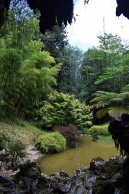 Bir parkın ormanları arasında gölet ve şelale.