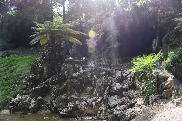 Bir parkın ormanları arasında gölet ve şelale.