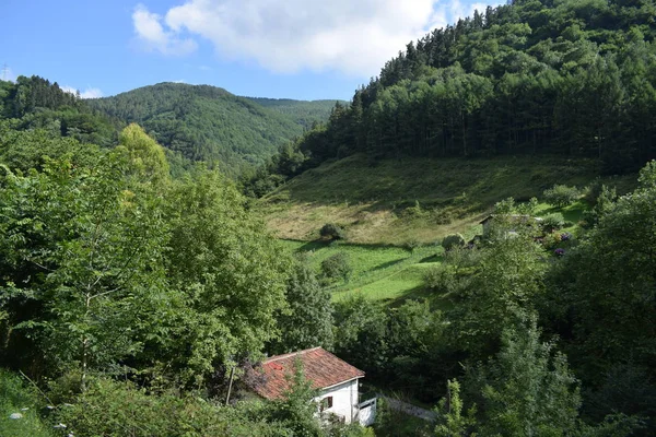 Prados Verdes Vale Entre Montanhas Com Florestas Exuberantes — Fotografia de Stock