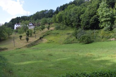 Yemyeşil ormanlar ile dağlar arasında bir vadide yeşil çayırlar.