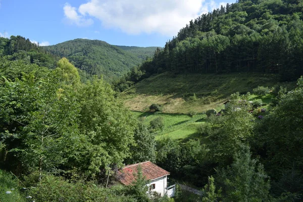 Prati Verdi Una Valle Tra Montagne Con Boschi Rigogliosi — Foto Stock