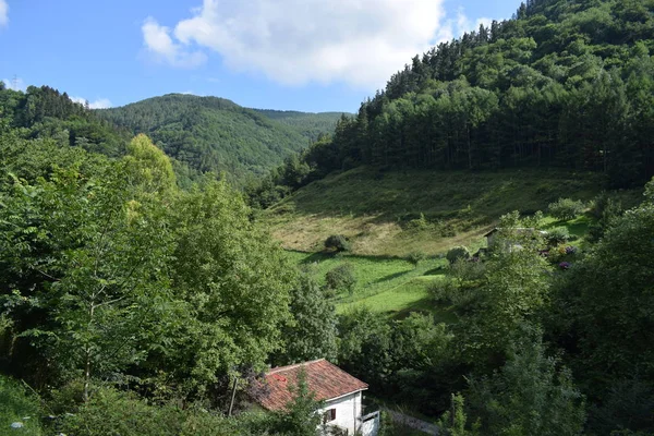 Prati Verdi Una Valle Tra Montagne Con Boschi Rigogliosi — Foto Stock