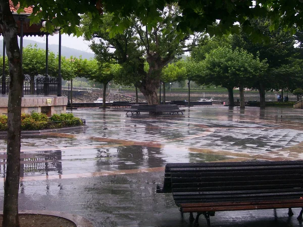 Outdoor Park Dag Een Regenachtige Dag — Stockfoto