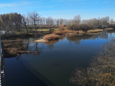 Sonbahar yaprakları olmayan ağaçlarla nehir.