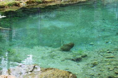 Önünde bir orman ile kireçtaşı dağ.