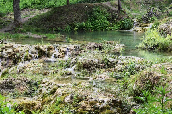 Montagne Calcaire Avec Une Forêt Face — Photo