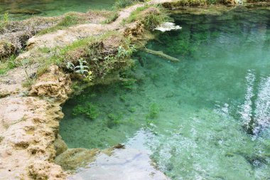 Önünde bir orman ile kireçtaşı dağ.
