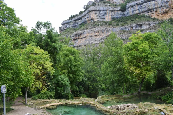 Mészkő Hegy Erdővel Elöl — Stock Fotó