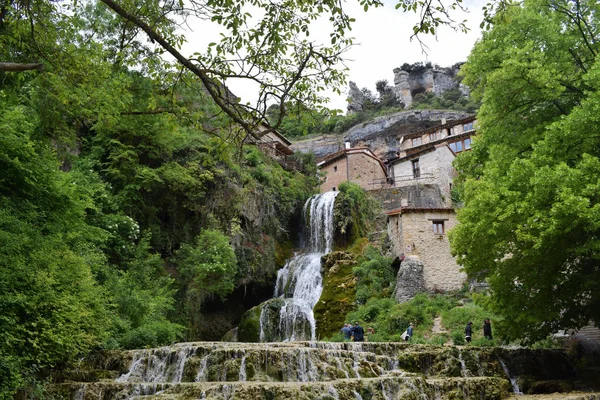 Cascade Tombant Travers Une Forêt — Photo