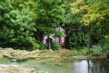 Önünde bir orman ile kireçtaşı dağ.