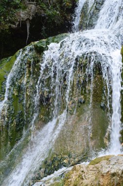 Ormandan düşen şelale.
