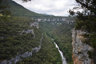 Dağlardan ve ormandan geçen nehir.