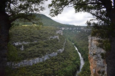 Dağlardan ve ormandan geçen nehir.
