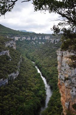 Dağlardan ve ormandan geçen nehir.