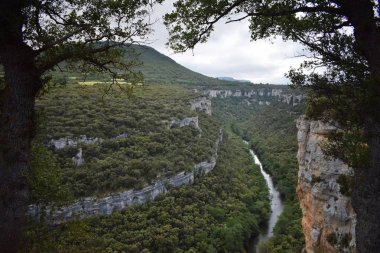 Dağlardan ve ormandan geçen nehir.