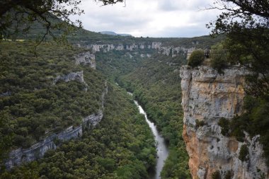 Dağlardan ve ormandan geçen nehir.