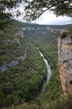 Dağlardan ve ormandan geçen nehir.