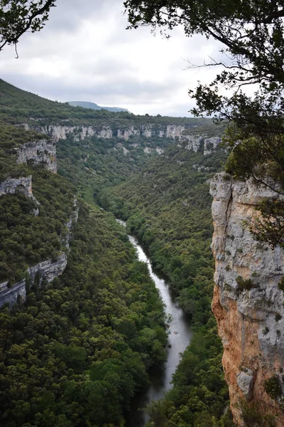 Dağlardan ve ormandan geçen nehir.