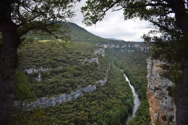 Dağlardan ve ormandan geçen nehir.