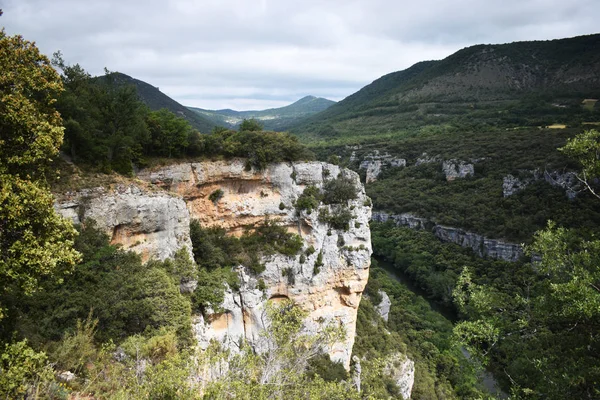 Dağlardan ve ormandan geçen nehir.