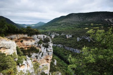 Dağlardan ve ormandan geçen nehir.