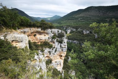 Dağlardan ve ormandan geçen nehir.