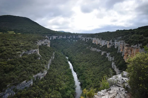 Dağlardan ve ormandan geçen nehir.