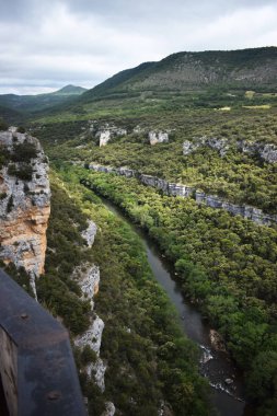 Dağlardan ve ormandan geçen nehir.