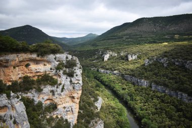 Dağlardan ve ormandan geçen nehir.