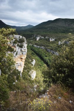 Dağlardan ve ormandan geçen nehir.