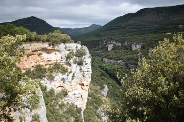 Dağlardan ve ormandan geçen nehir.