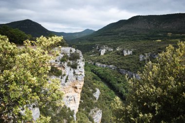 Dağlardan ve ormandan geçen nehir.