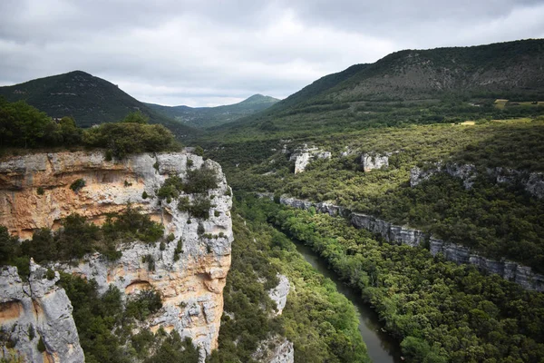 Dağlardan ve ormandan geçen nehir.