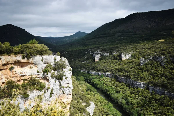 Dağlardan ve ormandan geçen nehir.
