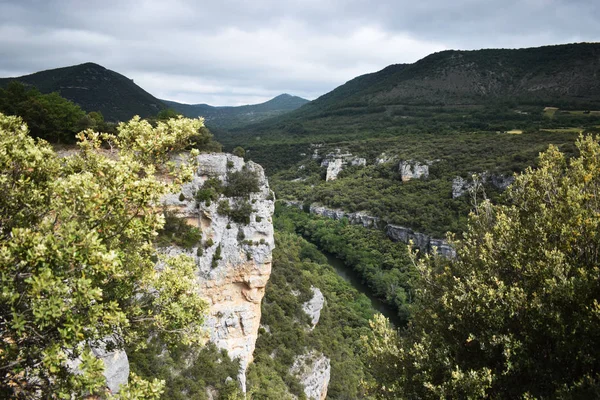 Dağlardan ve ormandan geçen nehir.