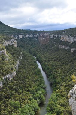 Dağlardan ve ormandan geçen nehir.